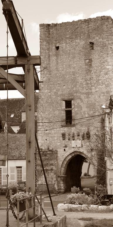 Le Meuble Monestois Βίλα Mennetou-sur-Cher Εξωτερικό φωτογραφία