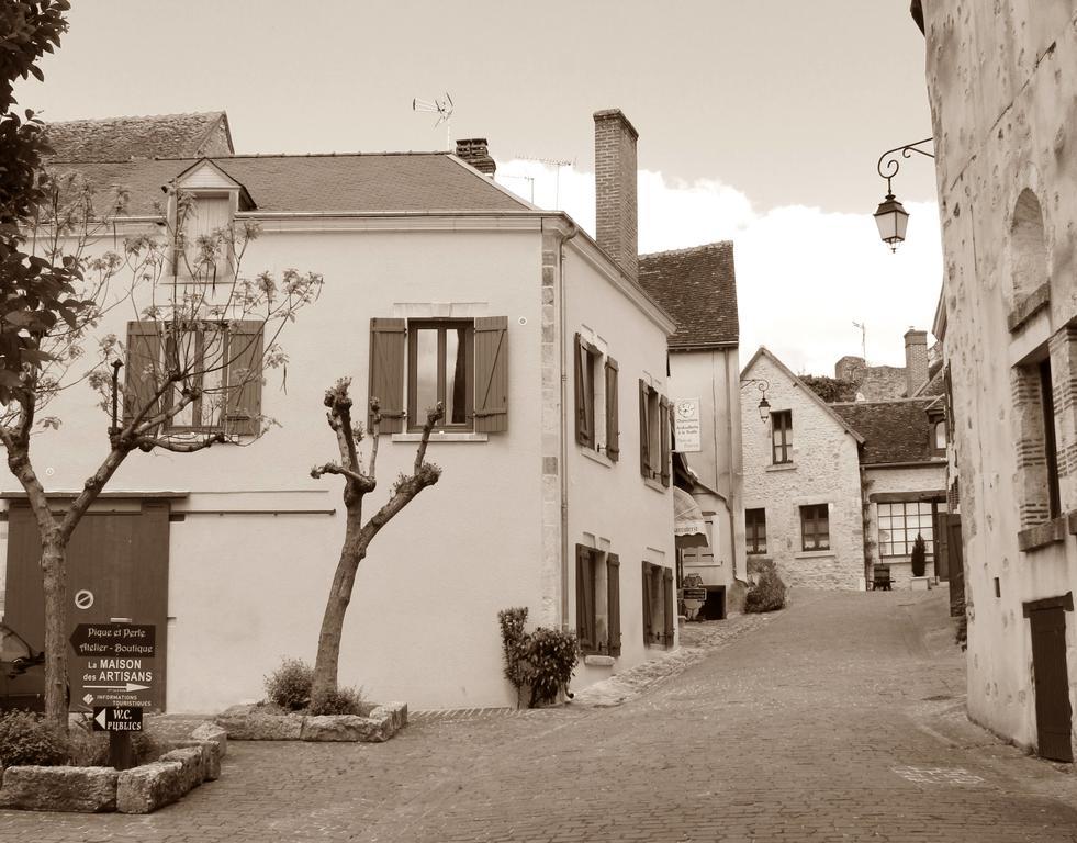 Le Meuble Monestois Βίλα Mennetou-sur-Cher Εξωτερικό φωτογραφία