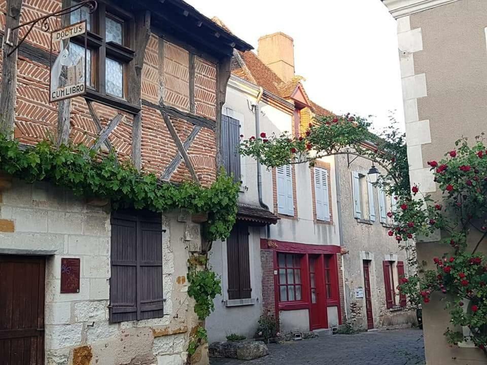 Le Meuble Monestois Βίλα Mennetou-sur-Cher Εξωτερικό φωτογραφία